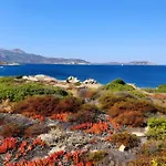 公寓 Sant Ambrogggio Vue Sur