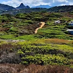 公寓 Sant Ambrogggio Vue Sur
