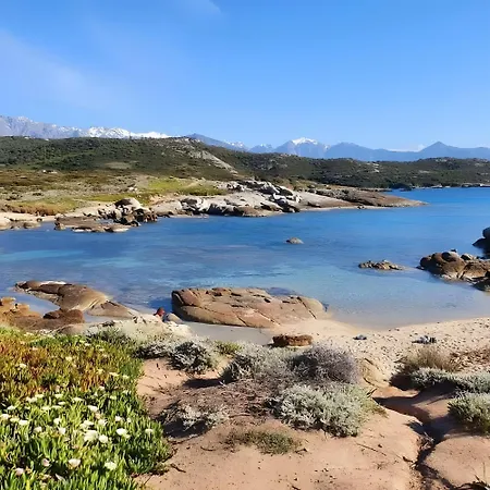 Sant Ambrogggio Vue Sur * Lumio (Corsica)