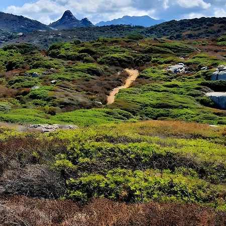 Διαμέρισμα Sant Ambrogggio Vue Sur