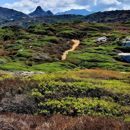 Sant Ambrogggio Vue Sur Lumio (Corsica)