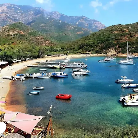 Sant Ambrogggio Vue Sur Appartement Lumio (Corsica)