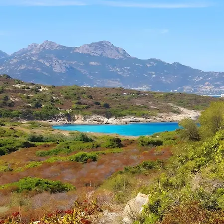 Appartement Sant Ambrogggio Vue Sur Lumio (Corsica)